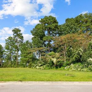 Street view of lot 43