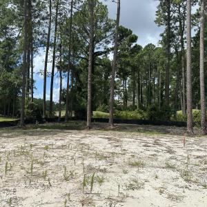 Cleared and Fill Dirt Added