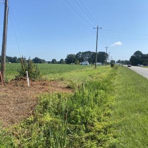 8F2A0487-F1FC-45D9-B205-AE8C728B47D7