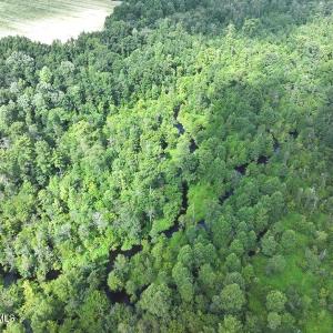 DJI_20250714030641_0550_D