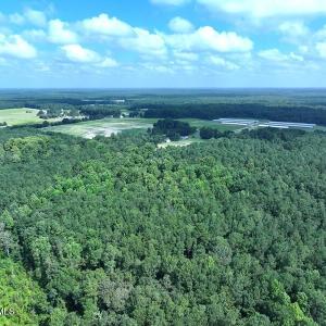 DJI_20250714030724_0552_D