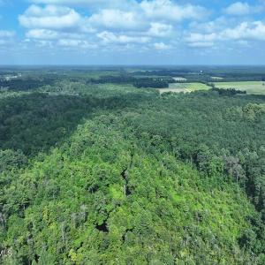 DJI_20250714030748_0554_D