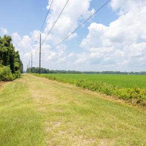 Easement