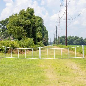 Pedestrian Easement