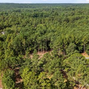 4-web-or-mls-DJI_20250721094823_0203_D