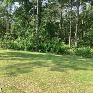 Screenshot 2025-07-26 at 11.43.27AM