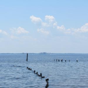IMG_1940