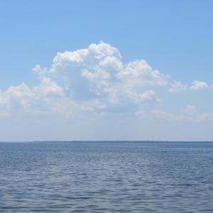 IMG_1946