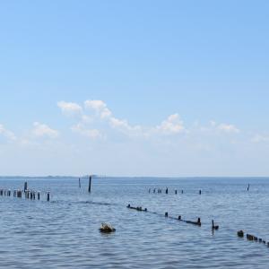 IMG_1947