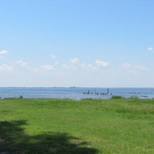IMG_1960
