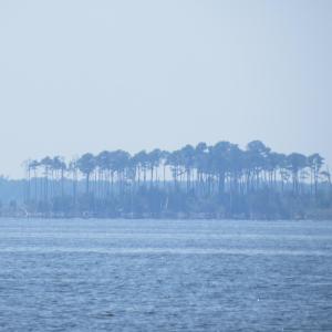 IMG_1950