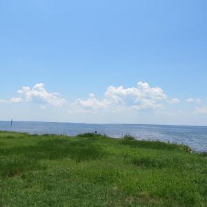 IMG_1931