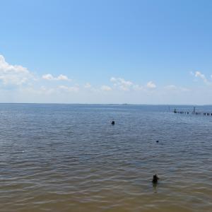IMG_1955
