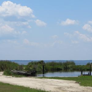 IMG_1920