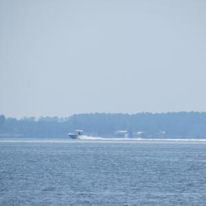 IMG_1951