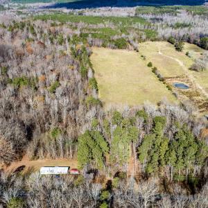 Overall view no lines