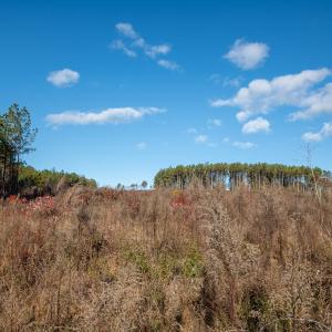 Cleetwood MLS PICS-6236