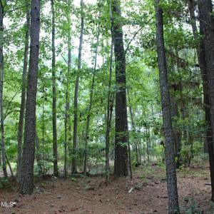 5780 Hanbury Homesite