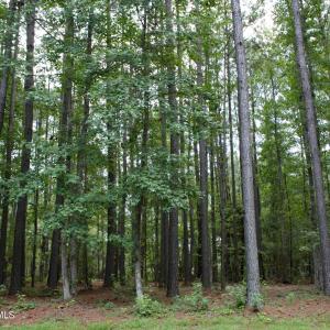 Cul de sac Homesite