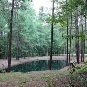 Pond view