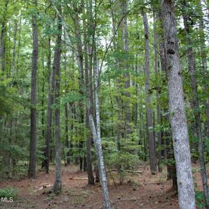 Waterbrook Woods Homesite