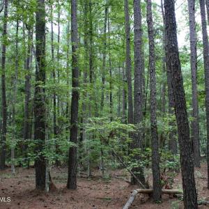 Wooded Homesite on Hanbury Place