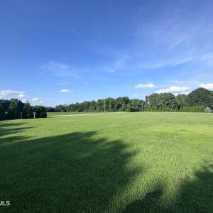IMG_0526