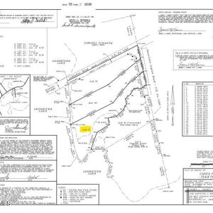 Screenshot Lot 9 Ledbetter