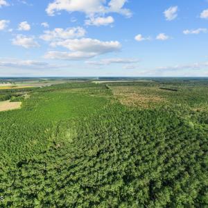 4-web-or-mls-DJI_0703