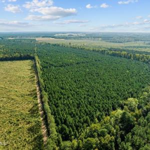 8-web-or-mls-DJI_0707