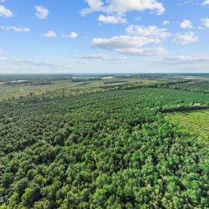 14-web-or-mls-DJI_0713