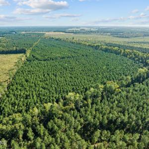 15-web-or-mls-DJI_0715