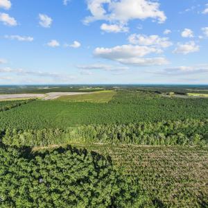 17-web-or-mls-DJI_0718