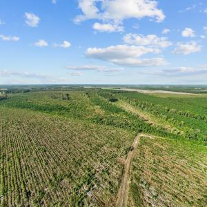19-web-or-mls-DJI_0720