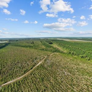 20-web-or-mls-DJI_0721