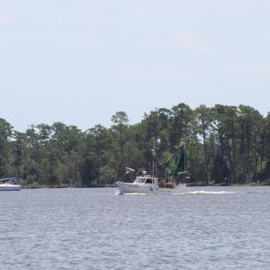 IMG_7208 - Copy