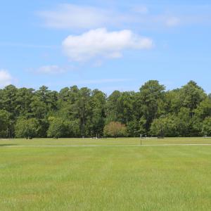 Beautiful Open Building Lot