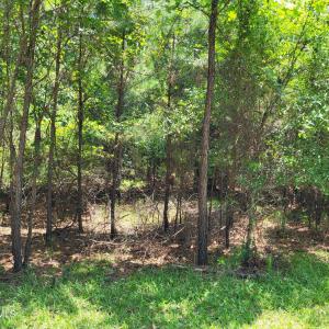 Timber & Terrain Appeal