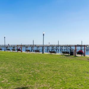 mls-DSC06553
