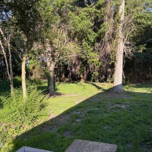 495 P V Dr yard 8 back of lot from back