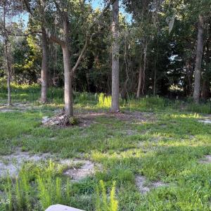 495 P V Dr more yard in back