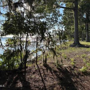 495 P V Dr yard 6 Looking into river