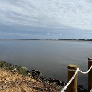 495 P V Dr showing old pier pilings have