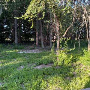 495 P V Dr moe back yard