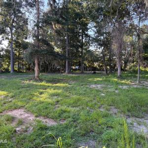 495 P V Dr yard 3 again looking at gate