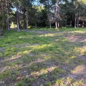 495 P V Dr yard 4 from river back toward