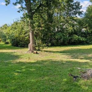 13-web-or-mls-DJI_0586