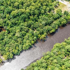 mls-DJI_0131
