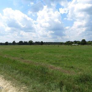 IMG_8311