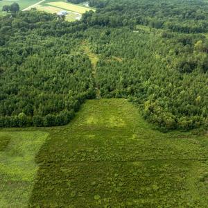 DJI_0401